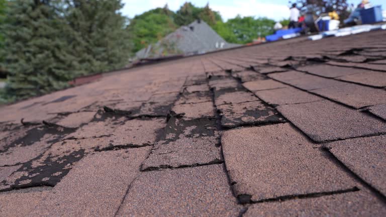 Best Roof Coating and Sealing  in Rmichael, CA